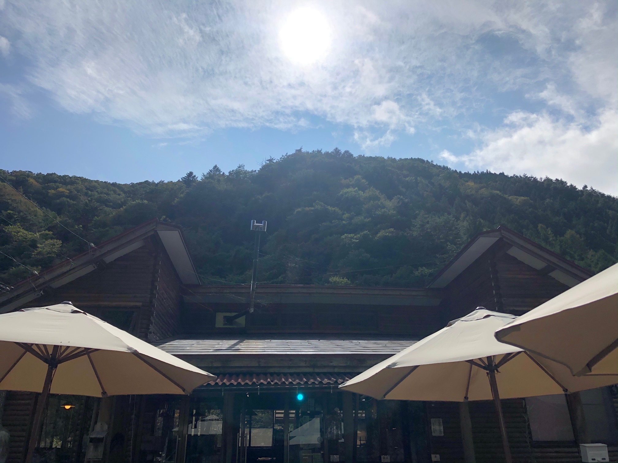営業を再開しました。