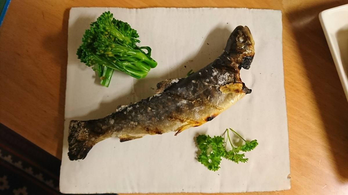 こんな魚も釣れちゃいます