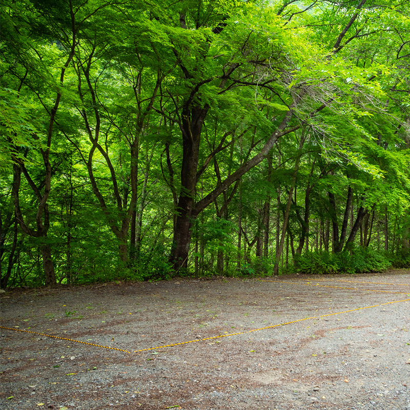 accommodation-Rectangle-forest-tentD