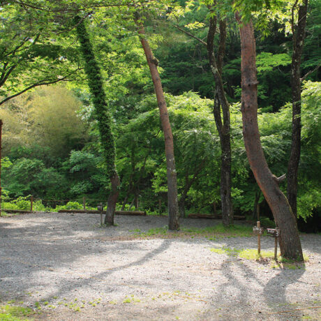 ほうれん坊の森キャンプ場 小菅村 東部森林公園 奥多摩の先 多摩源流域の小菅村に所在する ほうれん坊の森キャンプ場 は キャビン バンガロー テントで宿泊できるファミリーキャンプ場です ハイキング 釣りや川遊び q バーベキュー などのアウトドア