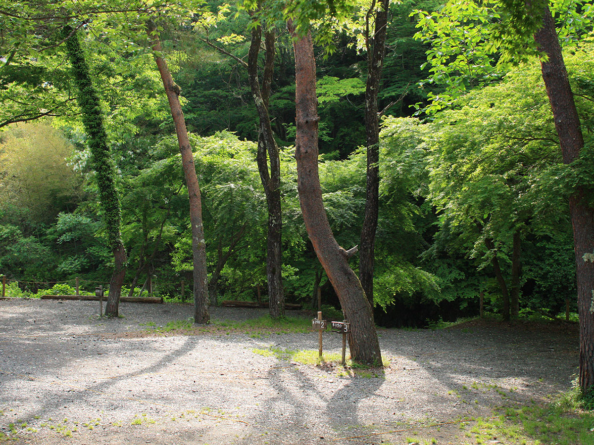 川のオートサイト 1サイト6名まで ほうれん坊の森キャンプ場 小菅村 東部森林公園 川のオートサイト 1サイト6名まで ほうれん坊の森キャンプ場 小菅村 東部森林公園
